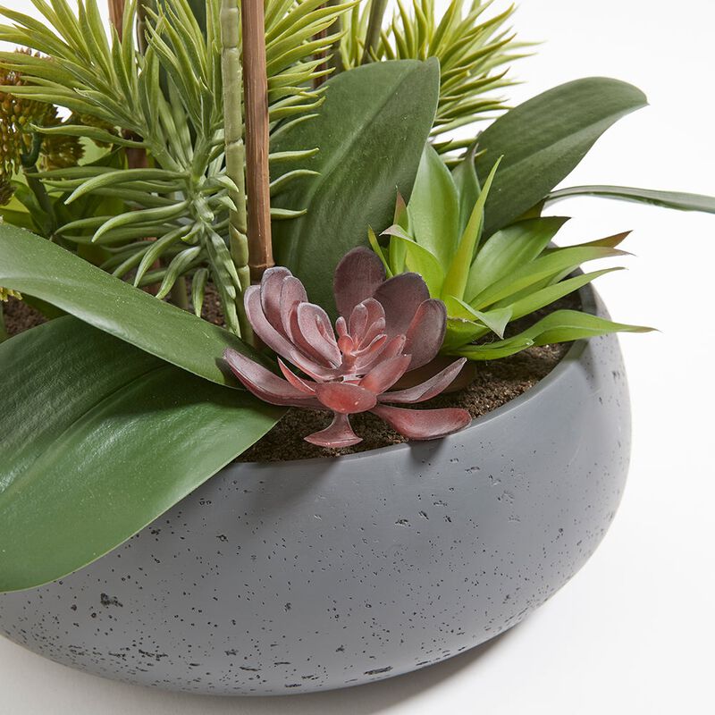Artificial Orchid with Succulents image number 4