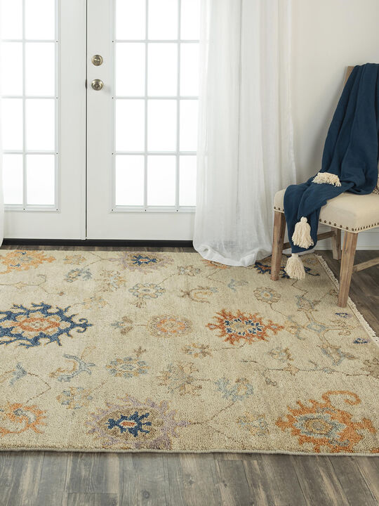 Envision ENV966 2' x 3' Rug