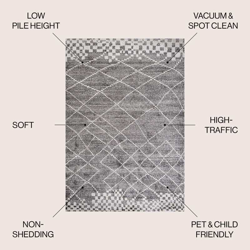 Asilah Moroccan Modern Diamond Area Rug