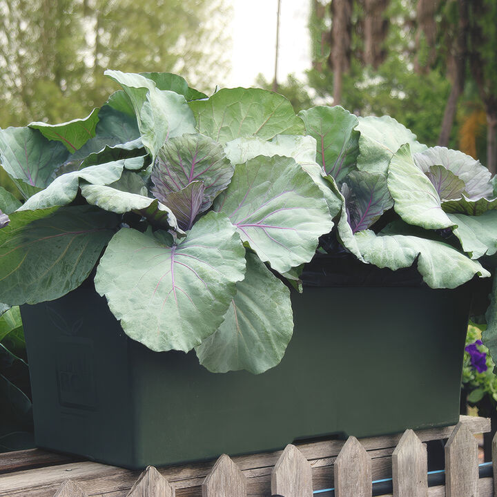 EarthBox Original Garden Kit with Fertilizer, Dolomite, & Wheels