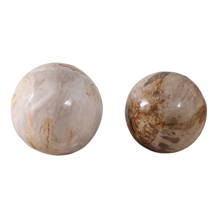 S/2 5/6" Petrified Wood Orbs, Ivory