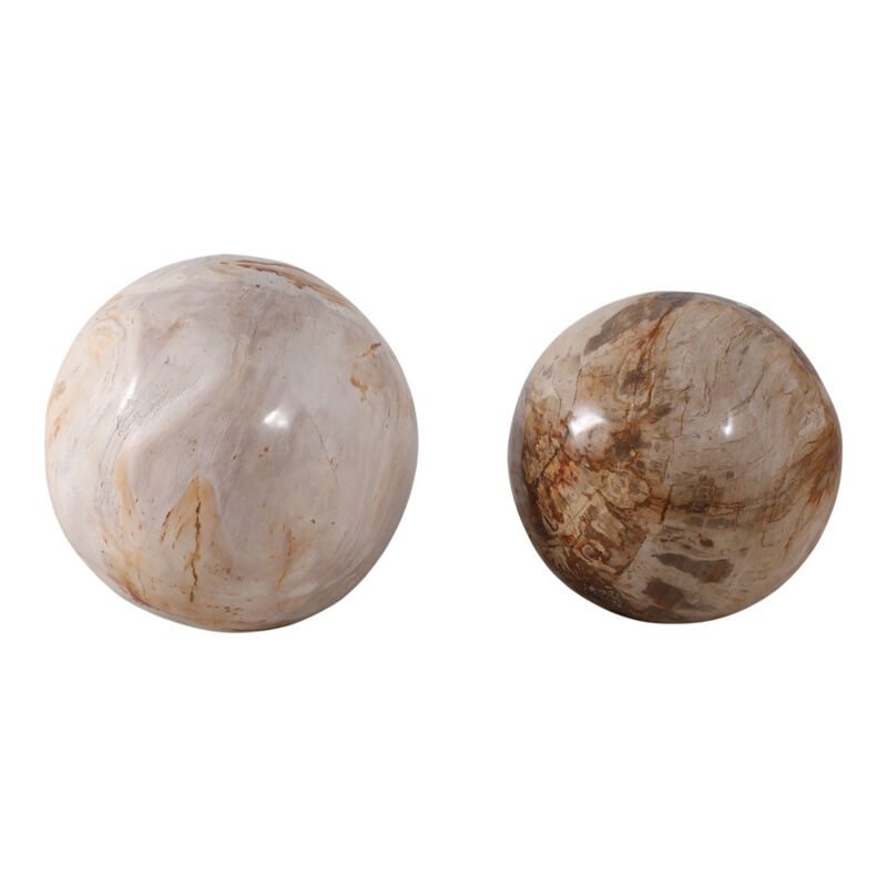 S/2 5/6" Petrified Wood Orbs, Ivory image number 1