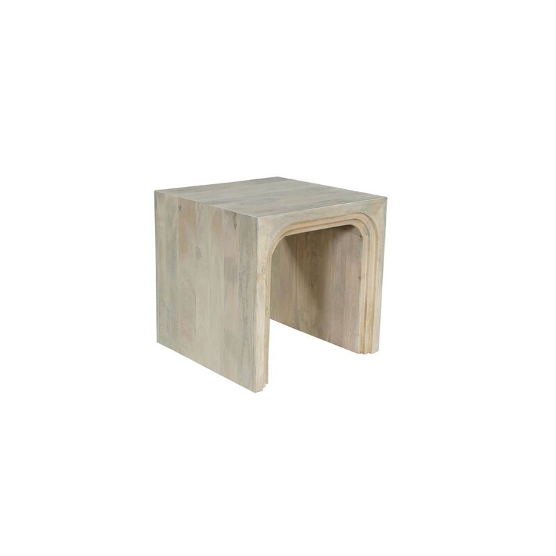 Taran Designs Renith Solid Wood End Table
