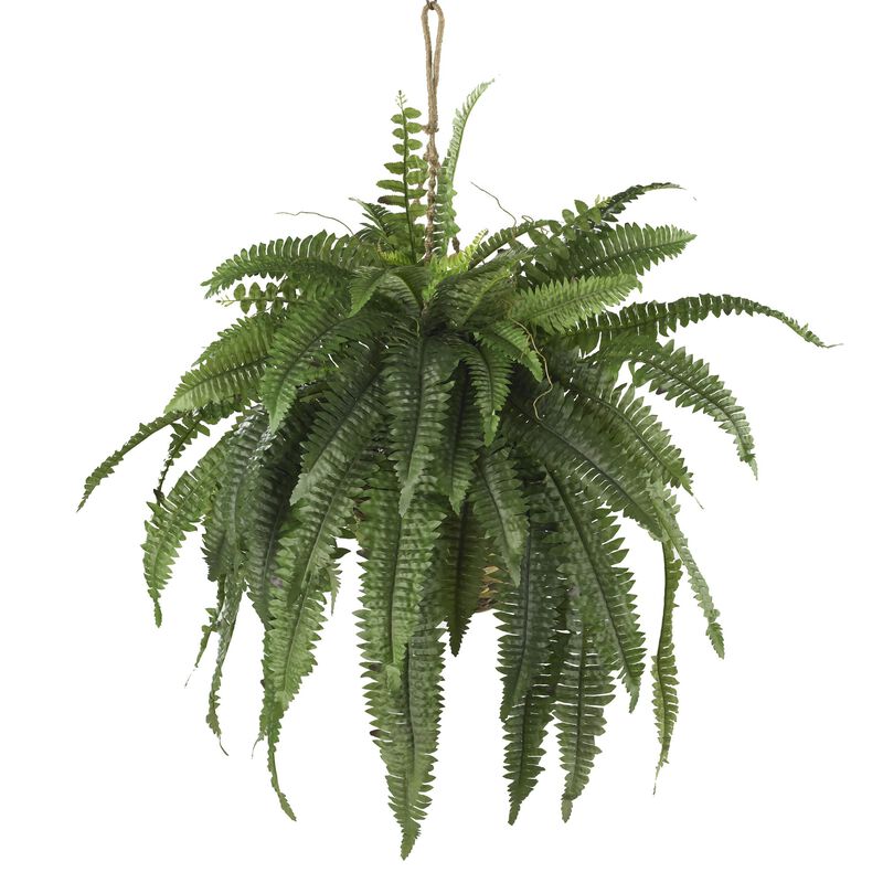 Hivvago Large Boston Fern Hanging Basket