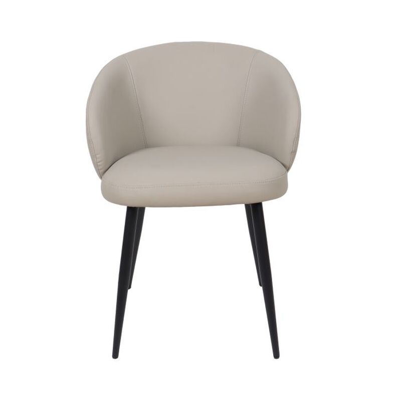 Looma Gray Side Chairs (Set of 2) image number 0