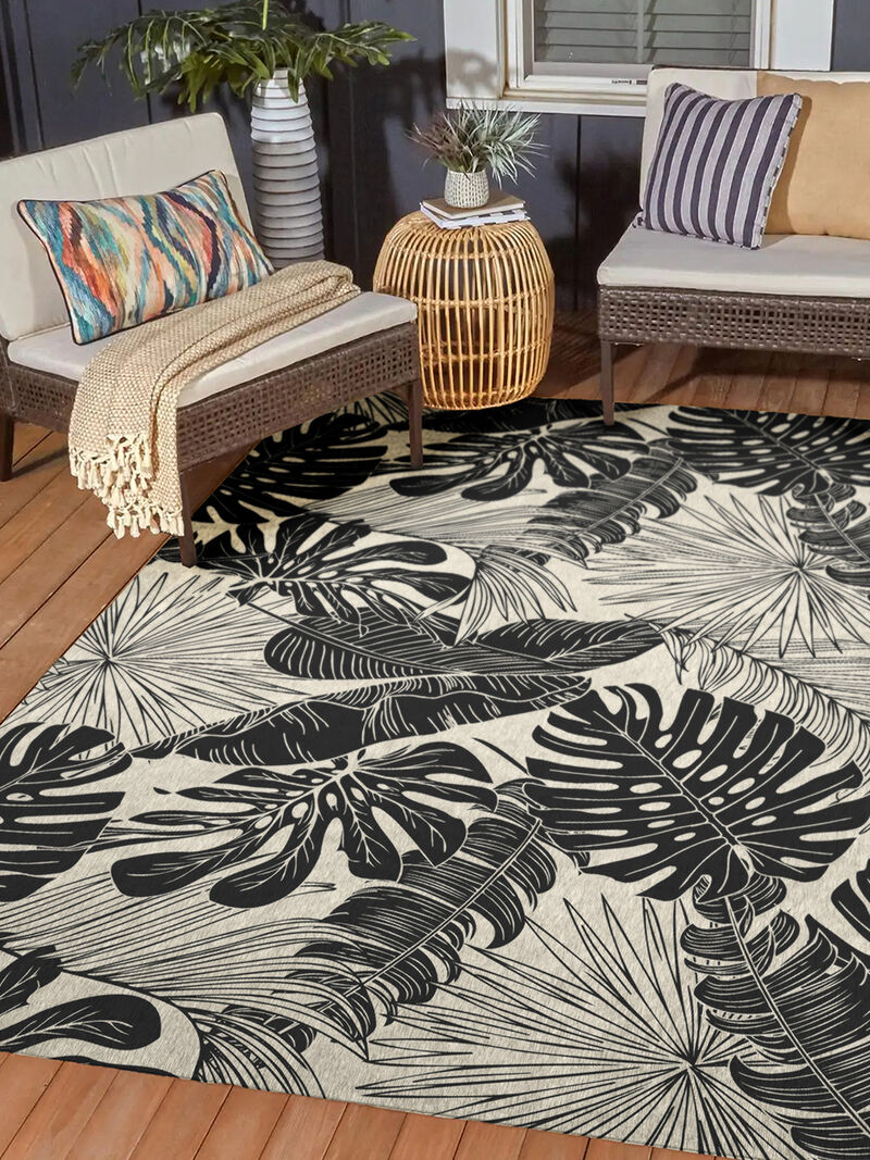 Tropics TC16 Collection