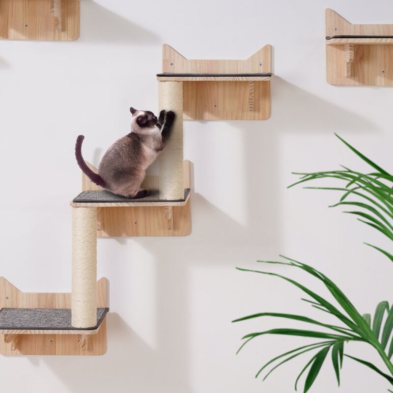 Wall Mounted Cat Shelves Tree with Jumping Boards Nest Furniture Set of 5