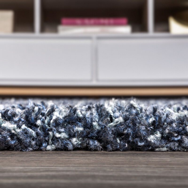 Mercer Shag Plush Tassel Area Rug