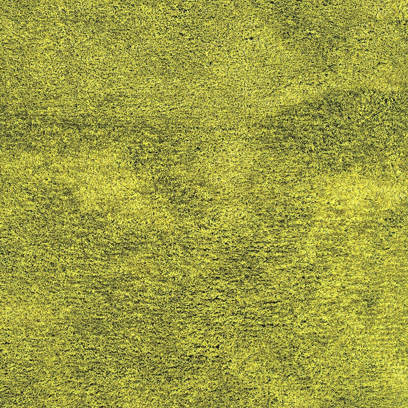 HomeRoots Shag Hand Tufted Area Rug image number 2