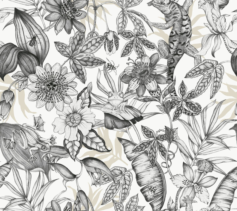 Rainforest White & Charcoal Wallpaper