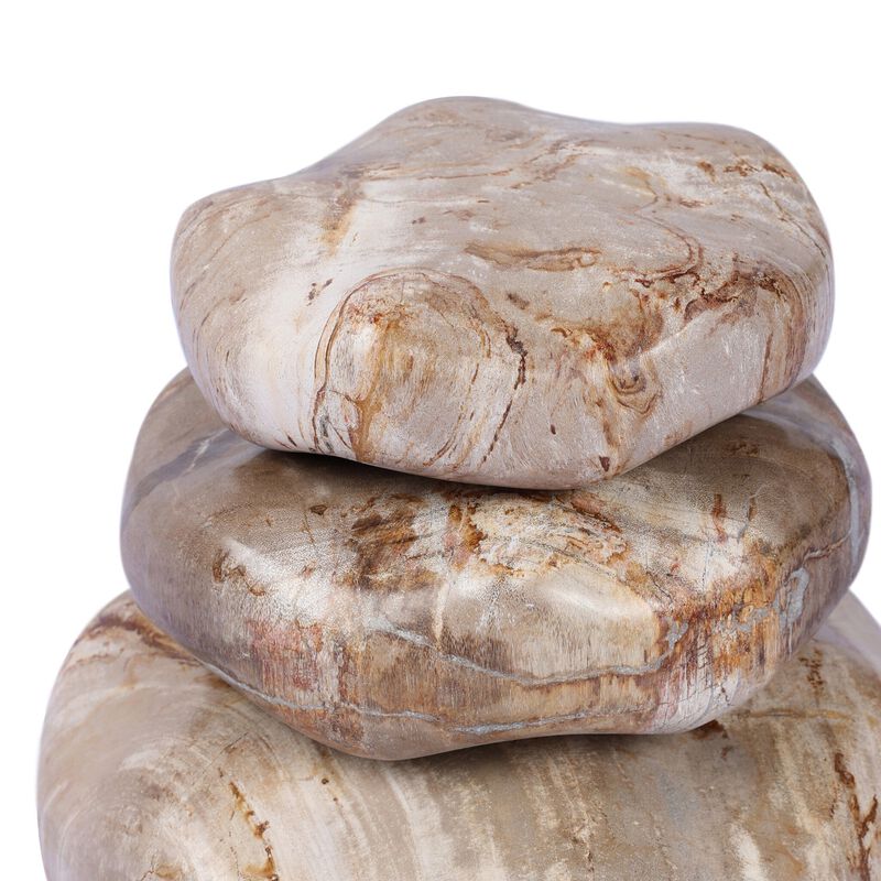 Petrified Wood Organic Sculpture (Set of 3) image number 2
