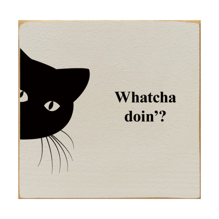 Funny Cat Wooden Sign Cute Cat Wall Decor Gift for Cat Lovers