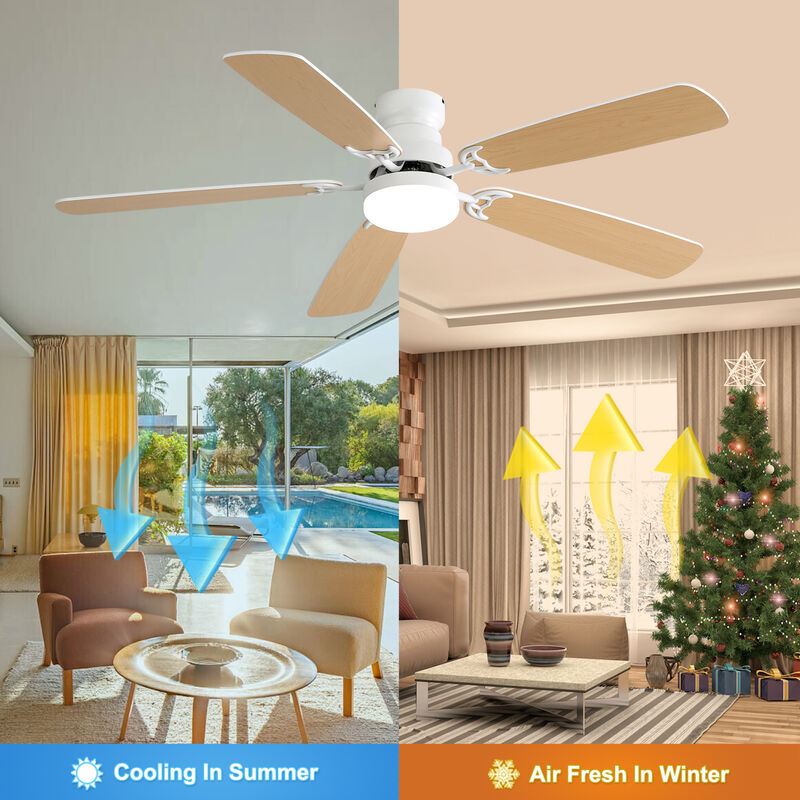 ELEMENT ACE Indoor Modern Ceiling Fan with LED Light and Remote Control for Efficient Airflow image number 8