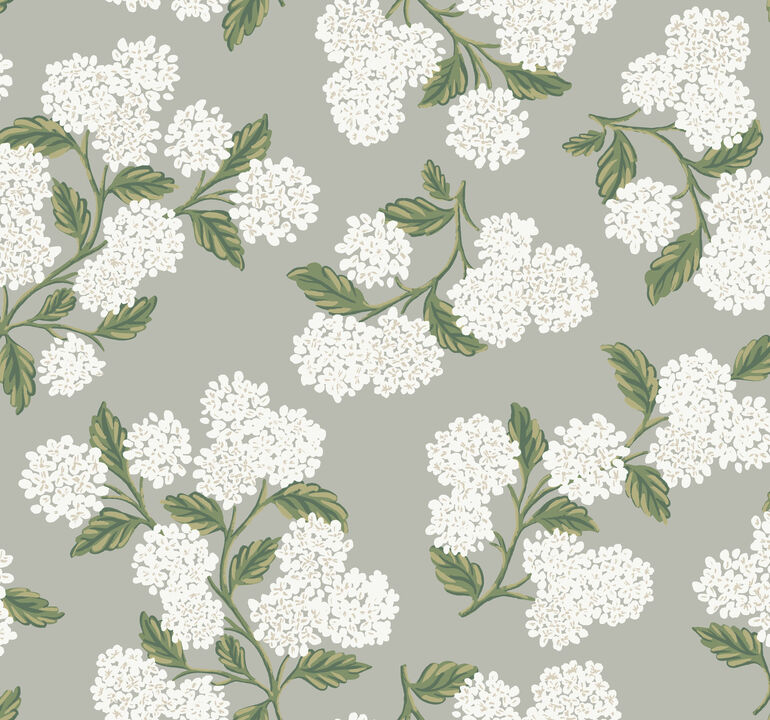 Hydrangea Grey Wallpaper