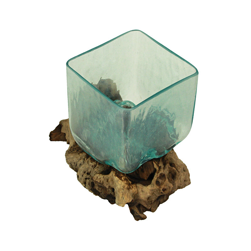 Teak Driftwood Glass Square Vase/Bowl - 8" High - Nature-Inspired Decor image number 2
