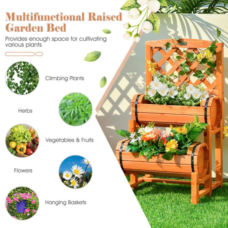 Hivvago Wooden 2-Tier Raised Garden Bed with 2 Cylindrical Planter Boxes and Trellis