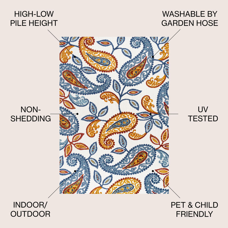 Julien Paisley High-Low Indoor/Outdoor Area Rug