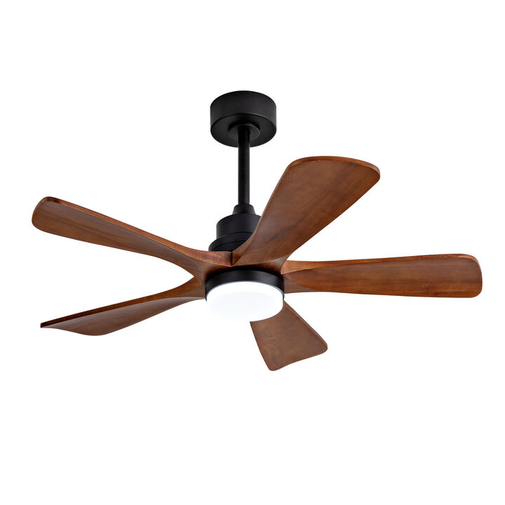 ELEMENT ACE Modern Outdoor Ceiling Fan with Integrated LED Lighting and Remote Control for Energy-Efficient Air Circulation