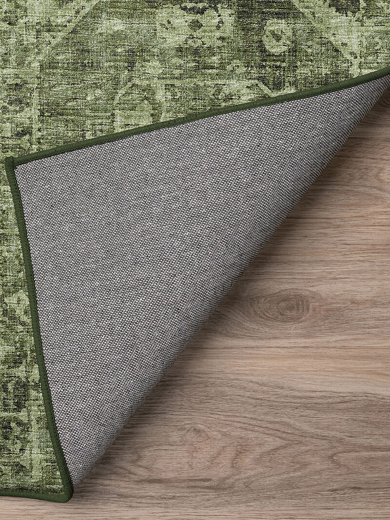 Aberdeen AB2 Cactus 3' x 5' Rug