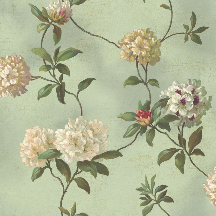 Rhododendron Script  Blue Wallpaper