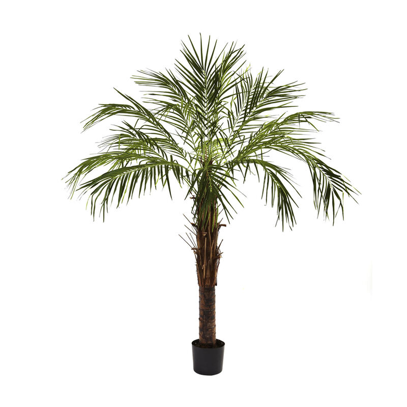 Nearly Natural 6-ft Robellini Palm Tree w/642 Lvs