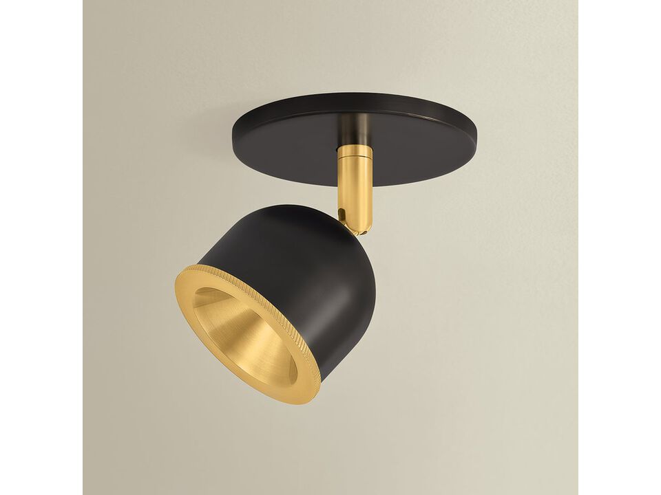 Tuthill Bronze Flush Mount Light