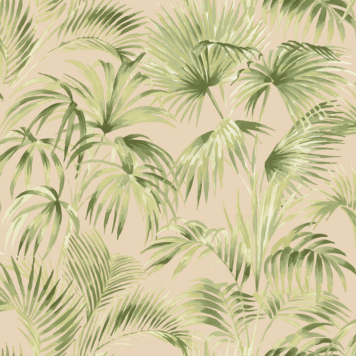 Manaus Peach Palm Frond Wallpaper