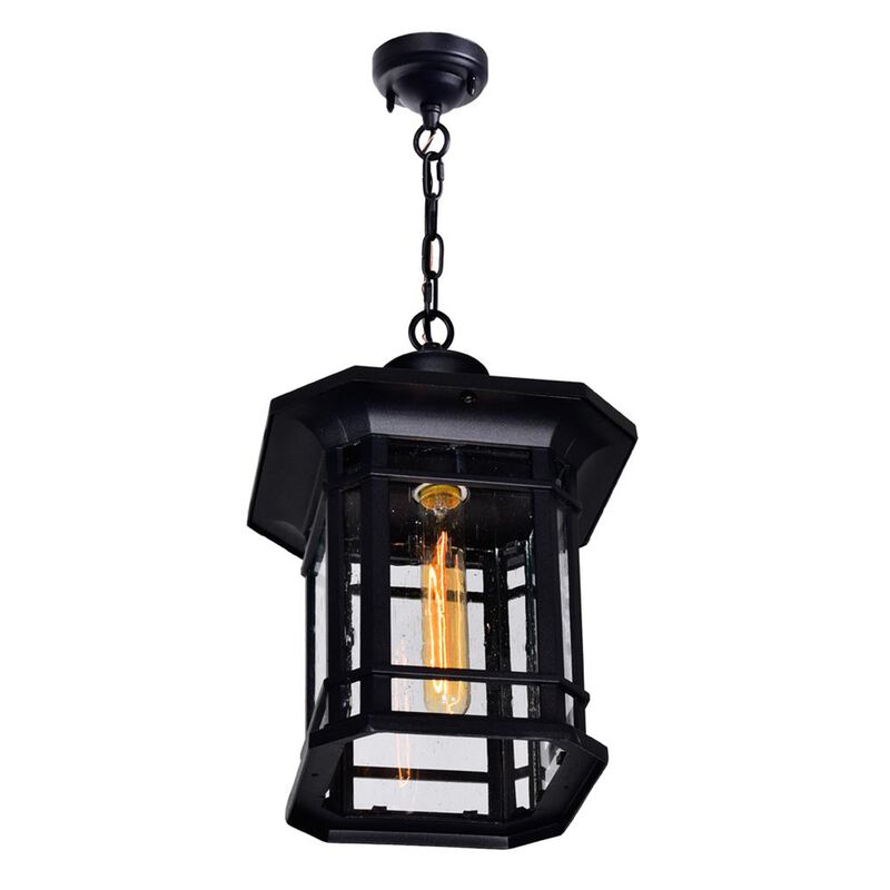 CWI Lighting Blackburn 1 Light Outdoor Black Pendant