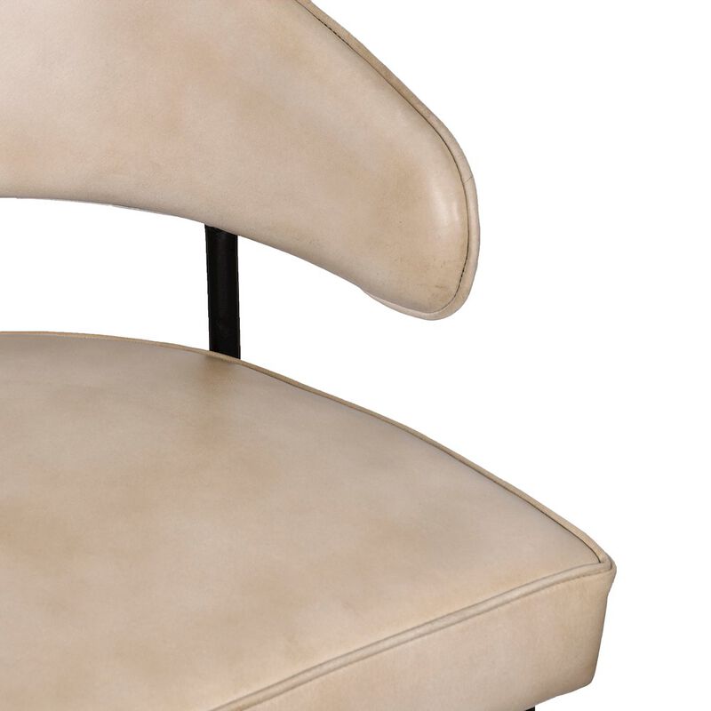 Barrett Genuine Leather Side Chair in Stone 2-Piece Set