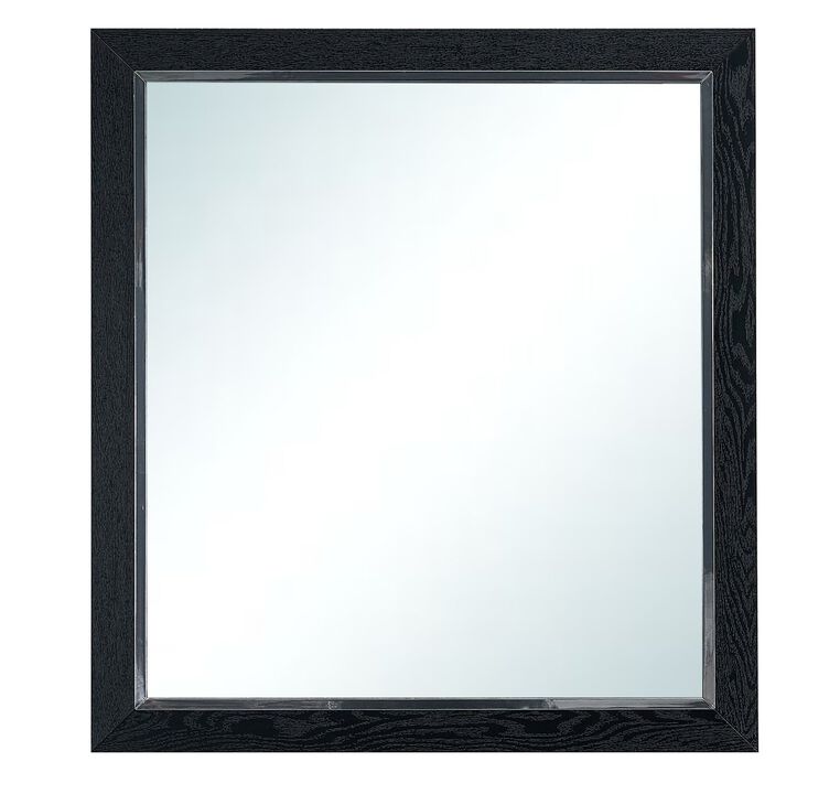 Livingston 36 in. W x 40 in. H Rectangle Wood Frame Black Dresser Mirror