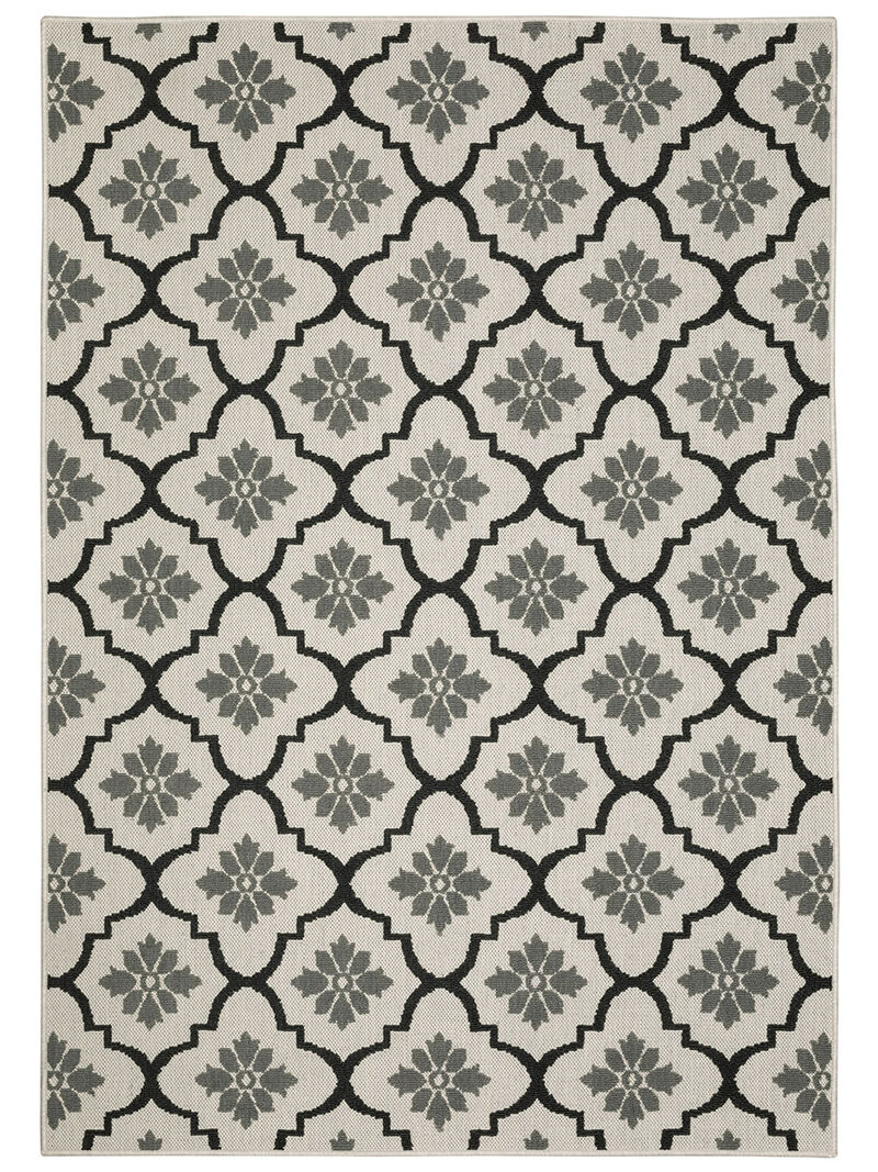 Torrey 5562E Collection image number 0