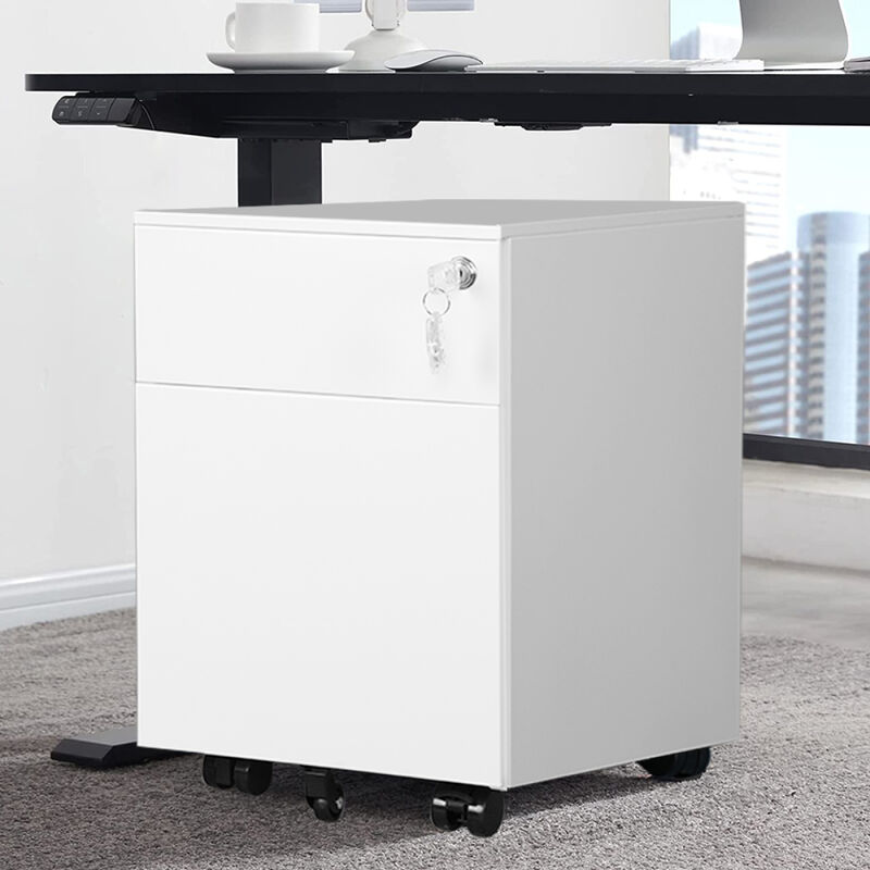 2 Drawer Mobile File Cabinet with Lock Metal Filing Cabinet for Legal/Letter/A4/F4 Size, Fully Assembled Include Wheels, Home/Office Design, White