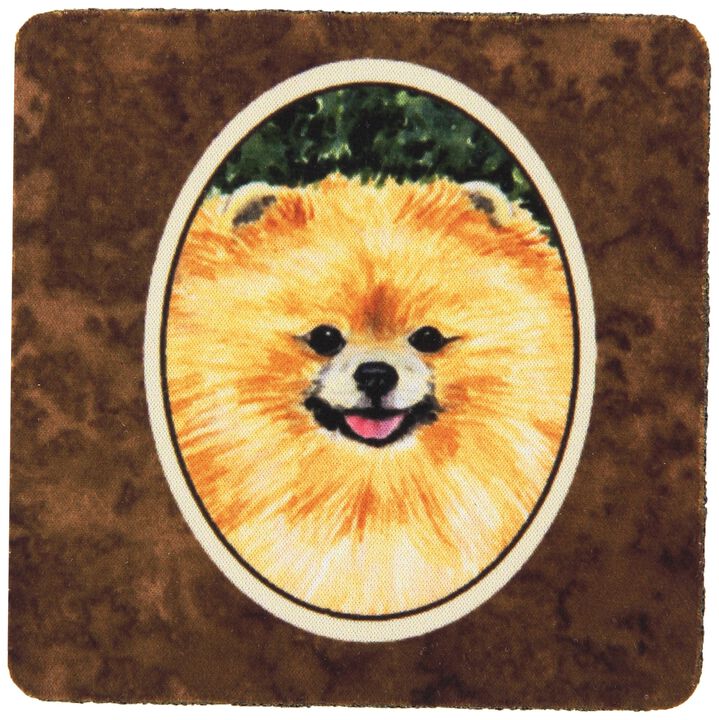 Caroline's Treasures SS8725FC Pomeranian Foam Coasters (Set of 4), 3.5 H x 3.5 W, Multicolor
