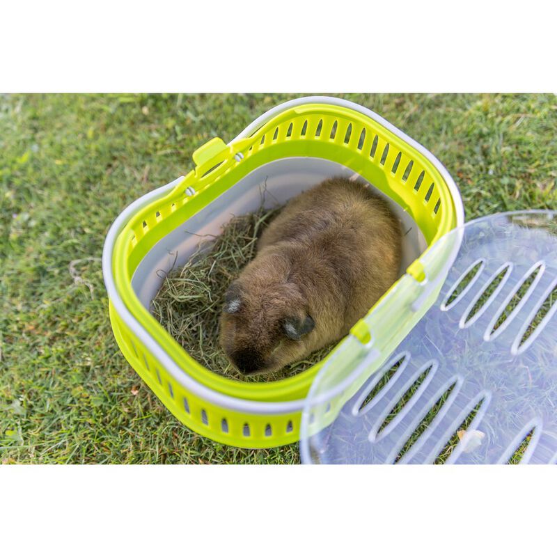 TRIXIE Pico Transport Crate for Traveling, Small Pet Carrier Ideal for Hamsters image number 5
