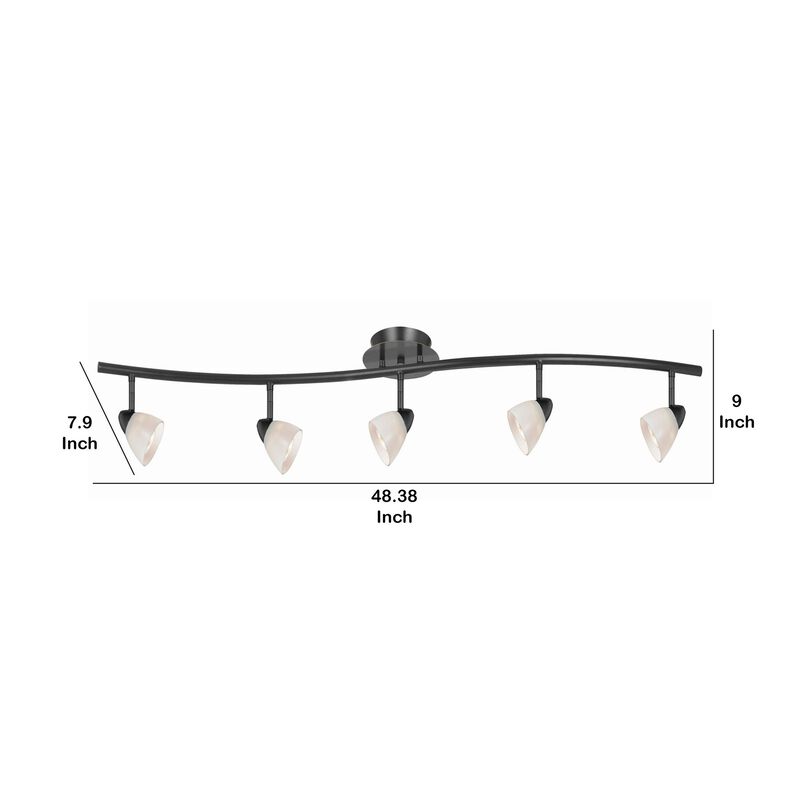 5 Light 120V Metal Track Light Fixture with Glass Shade, Black and White - Benzara