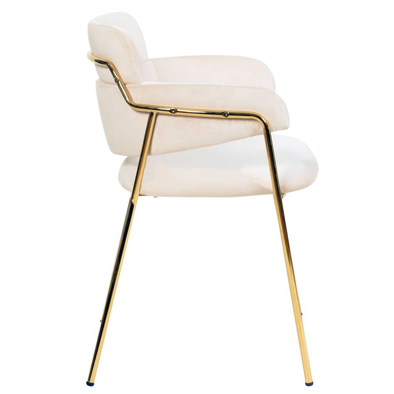 Axis Upholstered Dining Chairs Curved Open-Back & Gold Legs Set of 4 in