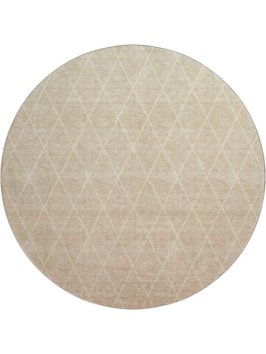 Lazio LZ2 Salmon 8' Rug