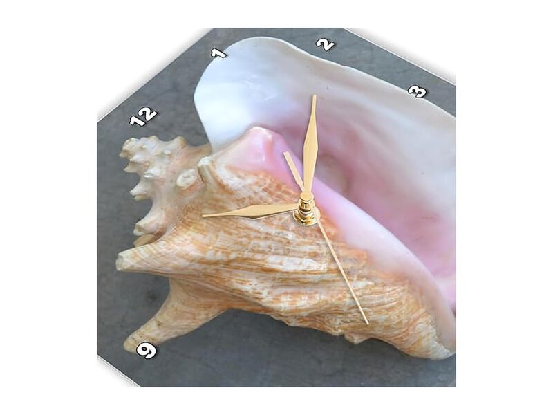 Conch Shell Wall Clock 10 Inch Home Decor image number 3