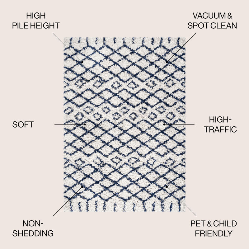 Algaida Moroccan Diamond Shag Area Rug