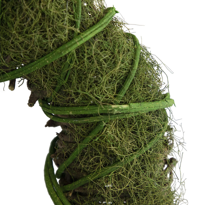15" Moss and Vine Artificial Spring Twig Wreath - Unlit