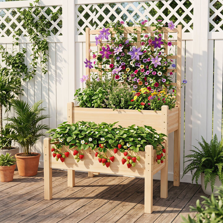 Wooden Raised Garden Bed with Trellis for Vines, Flowers and Vegetables