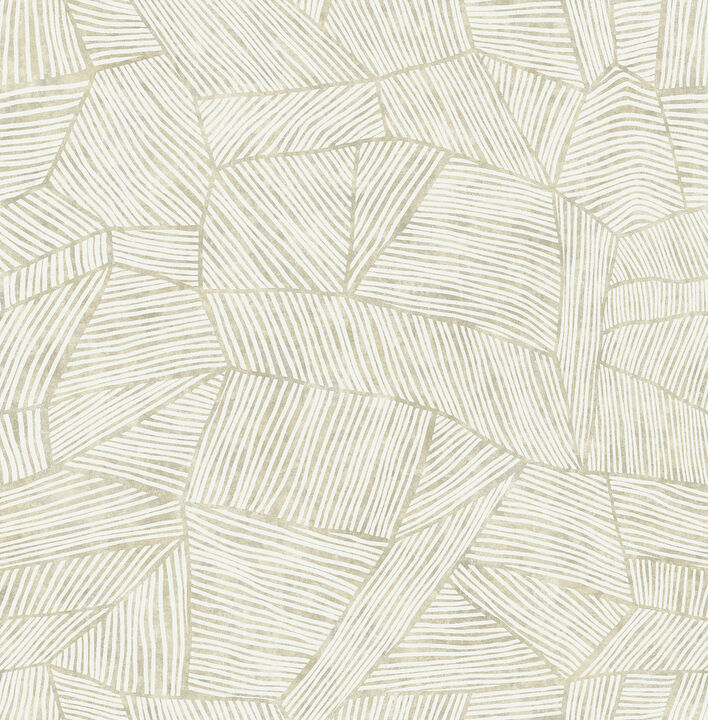 Aldabra Taupe TextuGeometric Wallpaper