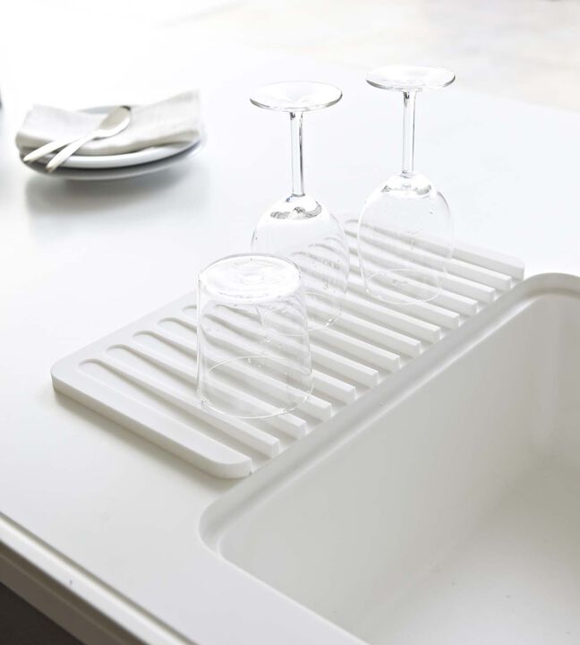 Dish Drainer Tray