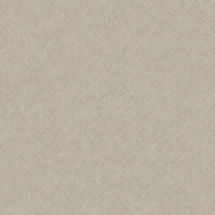 Concept Graphic Concrete Brown Wallpaper CO1104
