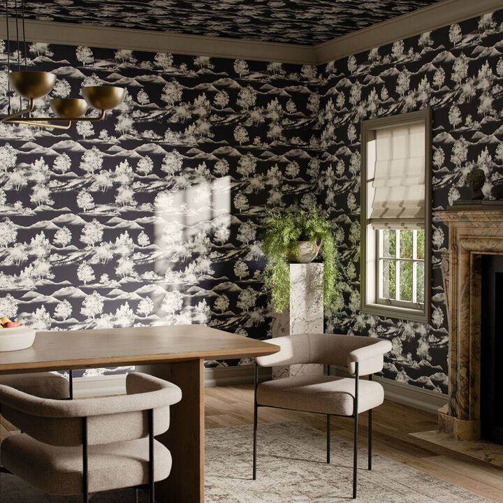 Abundance Wallpaper by Getty Images - Abundance Black I