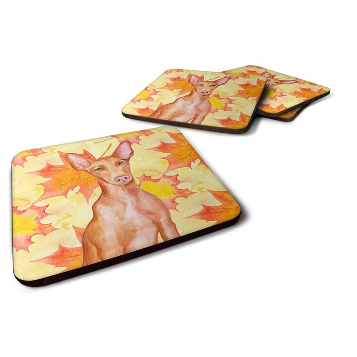 Caroline's Treasures Pharaoh Hound Fall Decorative coasters, Multicolor