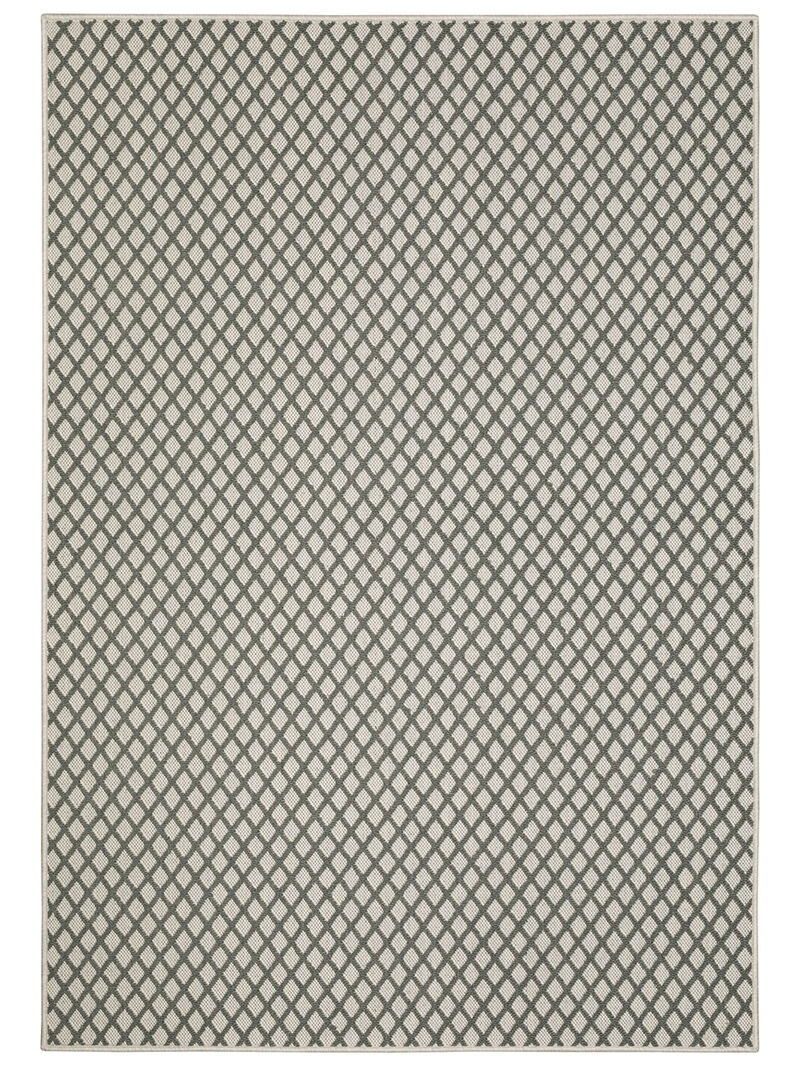 Torrey 501H Collection image number 0