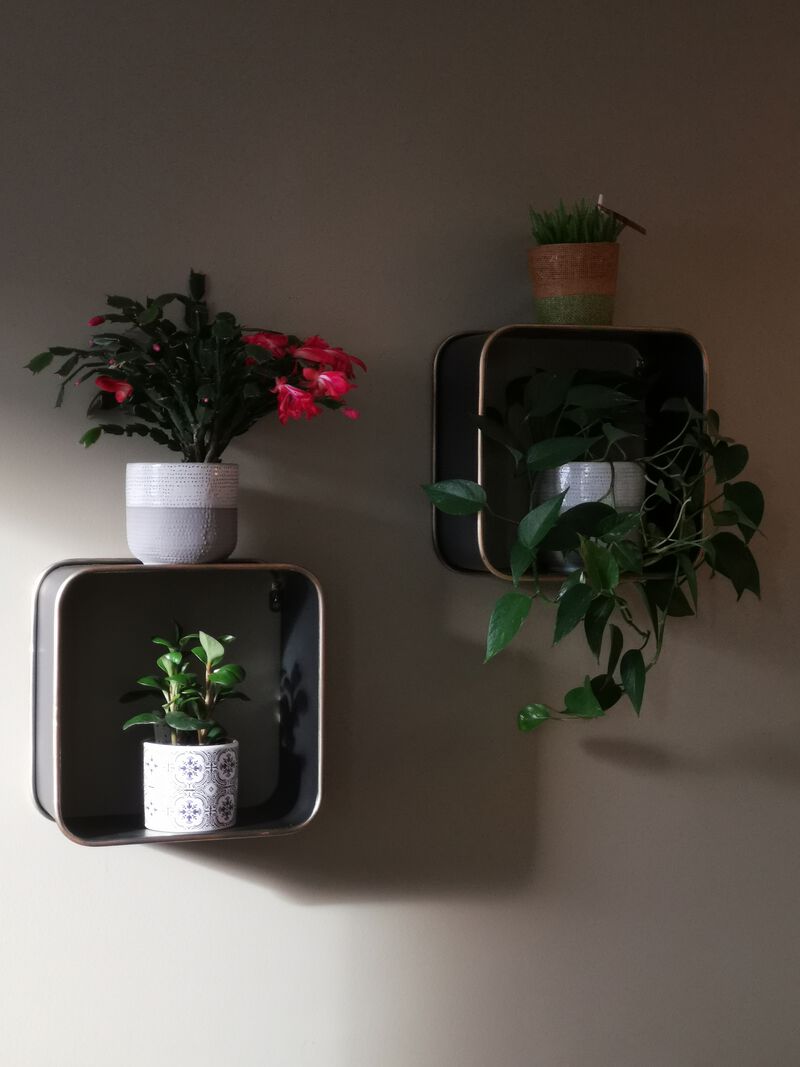 Stylish creative metal wall shelf/rack