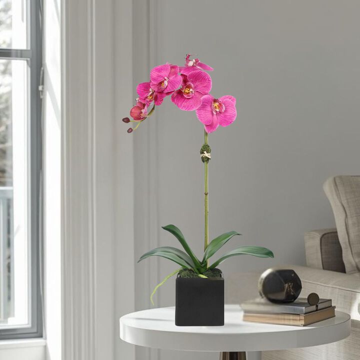 Faux Orchid Plant in Square Vase - 20"