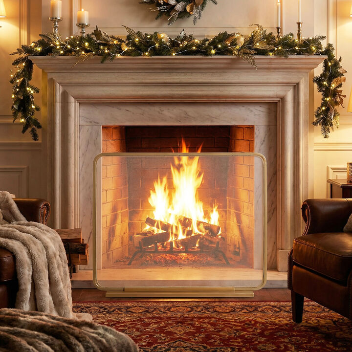 Christopher Knight Home Glora Modern Metal Single Panel Fireplace Screen